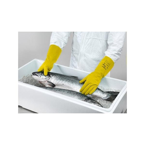 Luva Nitrilica Amarela Sem Forro 37-220 Ca 40292 Ansell-117d35f2-9e39-4b81-8c7c-2abdd821a1e8