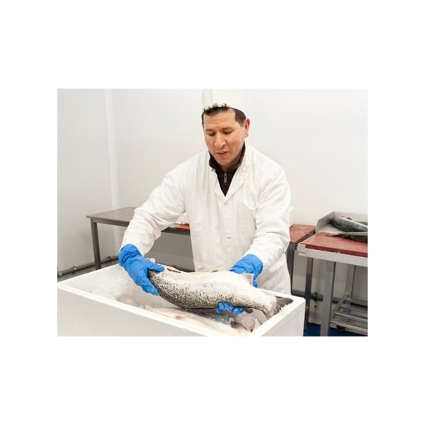 Luva Nitrílica Azul 33cm 37-210 Limpeza Faxina Epi 33858 Ansell-2e77c1cc-f036-44ab-9c46-a310c0f6a233